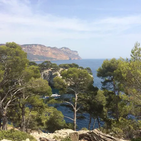 La Cassidaine * Cassis