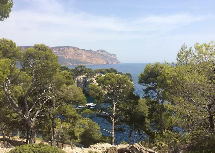 La Cassidaine * Cassis